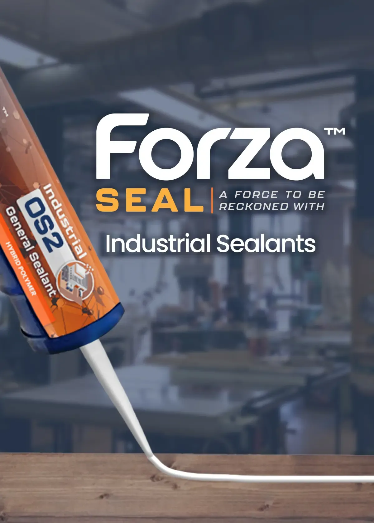 seal category background image